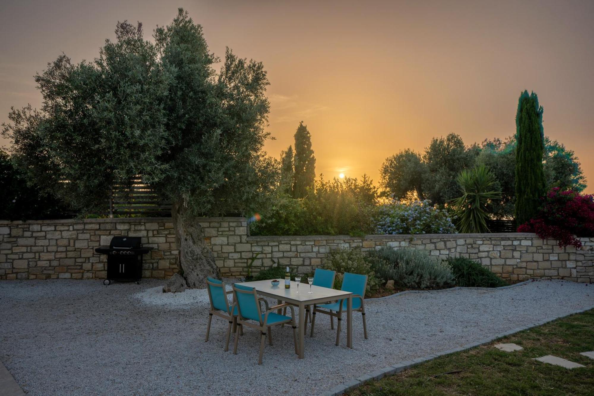 Villa Vasiliki Private Pool Erfoi Exterior foto